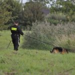 Psy ratownicze i policyjne