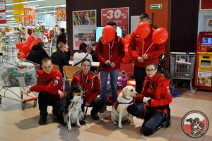 Fundacja DKMS w C.H. Auchan Kołbaskowo.