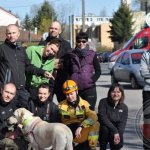 Egzaminy psów ratowniczych Gdańsk 2014 - kolejne 5 licencji dla OSP Wołczkowo