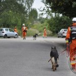 Warsztaty szkoleniowe zespołów poszukiwawczo-ratowniczych OSP Wołczkowo