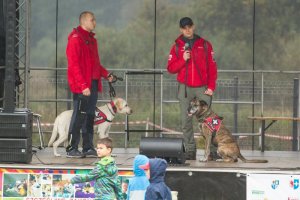 "Dzień psiaka i kociaka" w schronisku w Dobrej - 2016-10-01