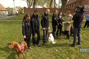 TVP Szczecin - Głos Regionów - 26.04.2015