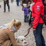 28 finał WOŚP w Starej Rzeźni