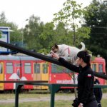 Egzaminy psów ratowniczych