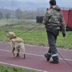 Warsztaty przewodników w Wydziale Szkolenia SGR w Nowym Sączu 2013