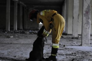 Zgrupowanie szkoleniowe dla przewodników psów i operatorów urządzeń lokalizacyjnych