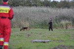 Ćwiczenia służb ratowniczych z wykorzystaniem psów policyjnych i ratowniczych