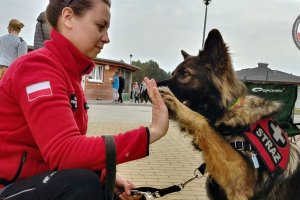 "Dzień psiaka i kociaka" w schronisku dla bezdomnych zwierząt w Dobrej.