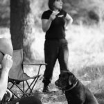Egzaminy psów ratowniczych Żagań 2014 - kolejne 7 licencji dla OSP Wołczkowo