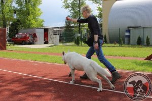 Szkolenie w Wydziale Szkolenia Specjalistycznych Grup Ratowniczych - Maj 2014