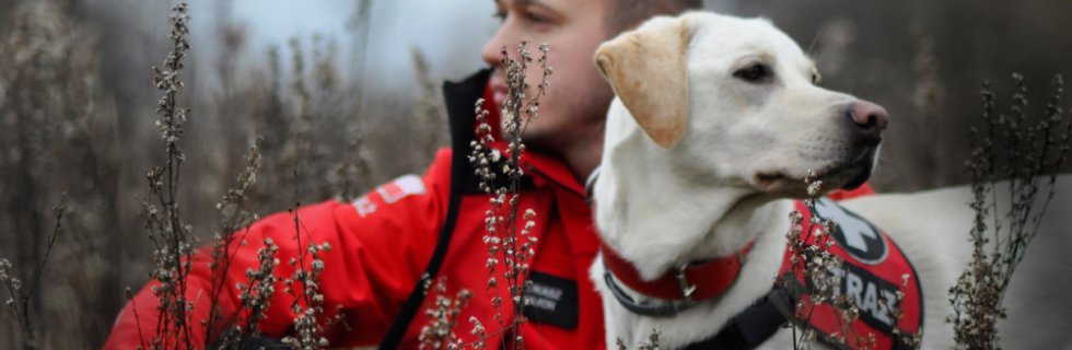 Egzaminy psów ratowniczych Żagań 2015 - kolejne 10 licencji dla OSP Wołczkowo