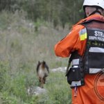 Warsztaty szkoleniowe zespołów poszukiwawczo-ratowniczych OSP Wołczkowo