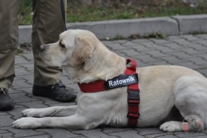 Warsztaty instruktorskie w Wydziale Szkolenia SGR w Nowym Sączu