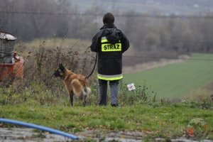 Warsztaty przewodników w Wydziale Szkolenia SGR w Nowym Sączu