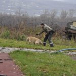 Warsztaty przewodników w Wydziale Szkolenia SGR w Nowym Sączu 2013