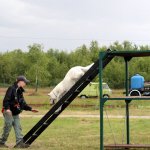 Egzaminy psów ratowniczych