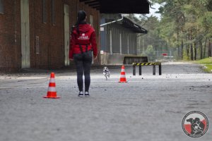 Test współpracy naszych przewodników na egzaminie w Pstrążu, kwiecień 2017.