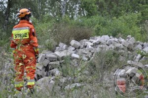 Egzaminy psów ratowniczych Żagań 2015 - kolejne 10 licencji dla OSP Wołczkowo