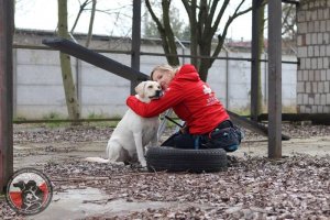 Sesja egzaminacyjna Pstrąże wrzesień 2019